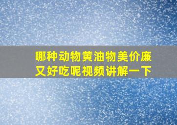 哪种动物黄油物美价廉又好吃呢视频讲解一下