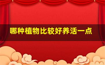 哪种植物比较好养活一点