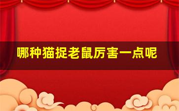 哪种猫捉老鼠厉害一点呢