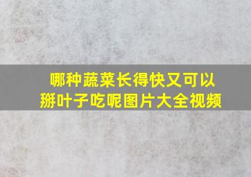 哪种蔬菜长得快又可以掰叶子吃呢图片大全视频