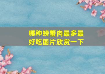 哪种螃蟹肉最多最好吃图片欣赏一下