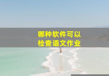 哪种软件可以检查语文作业