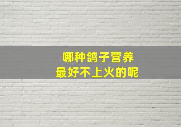 哪种鸽子营养最好不上火的呢