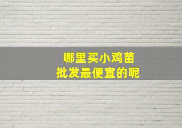 哪里买小鸡苗批发最便宜的呢