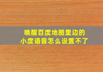 唤醒百度地图里边的小度语音怎么设置不了