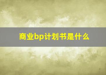 商业bp计划书是什么