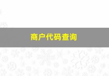 商户代码查询