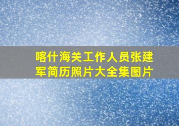 喀什海关工作人员张建军简历照片大全集图片