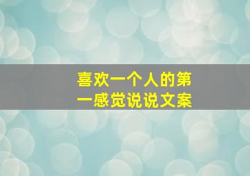 喜欢一个人的第一感觉说说文案