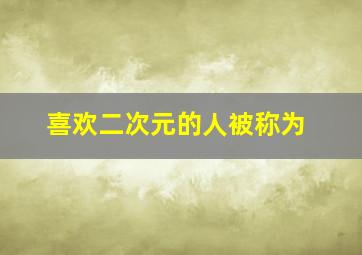 喜欢二次元的人被称为