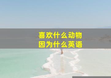 喜欢什么动物因为什么英语