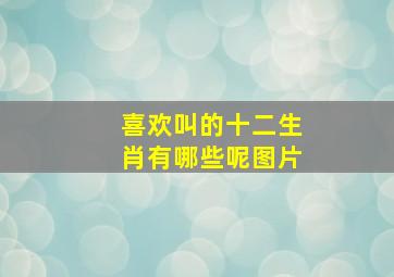 喜欢叫的十二生肖有哪些呢图片