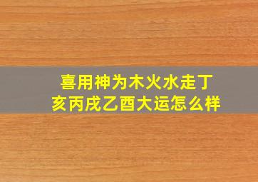 喜用神为木火水走丁亥丙戌乙酉大运怎么样