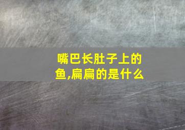 嘴巴长肚子上的鱼,扁扁的是什么