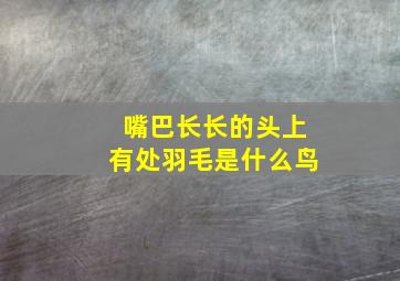 嘴巴长长的头上有处羽毛是什么鸟