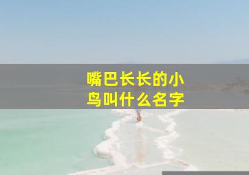 嘴巴长长的小鸟叫什么名字