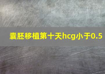 囊胚移植第十天hcg小于0.5