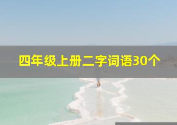 四年级上册二字词语30个