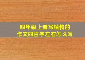 四年级上册写植物的作文四百字左右怎么写