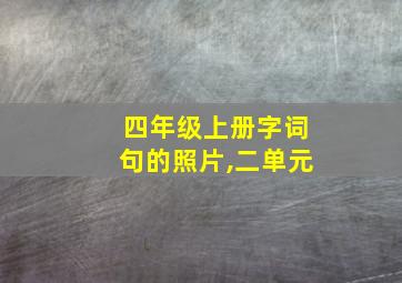 四年级上册字词句的照片,二单元