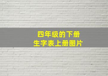 四年级的下册生字表上册图片