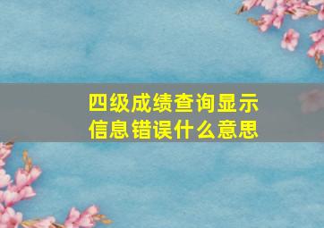 四级成绩查询显示信息错误什么意思