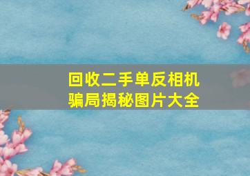 回收二手单反相机骗局揭秘图片大全