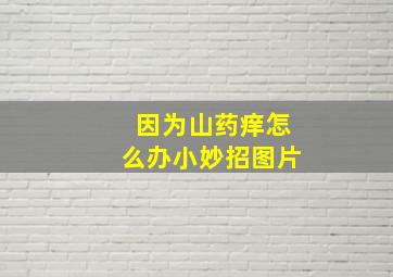 因为山药痒怎么办小妙招图片