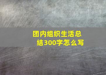 团内组织生活总结300字怎么写