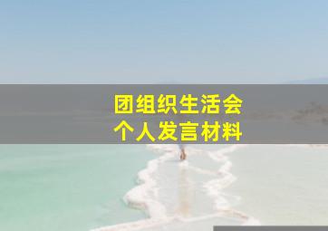 团组织生活会个人发言材料