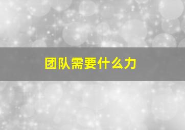 团队需要什么力