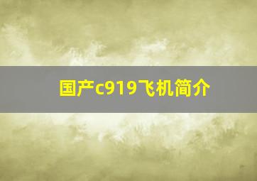 国产c919飞机简介