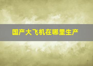 国产大飞机在哪里生产