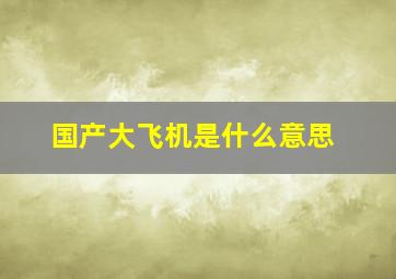 国产大飞机是什么意思