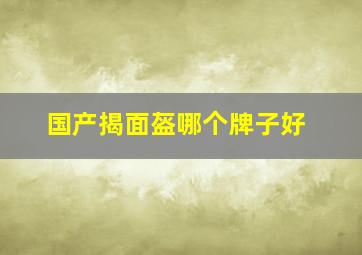 国产揭面盔哪个牌子好