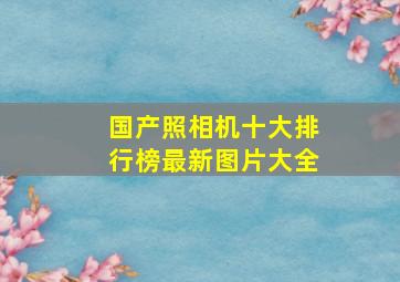 国产照相机十大排行榜最新图片大全