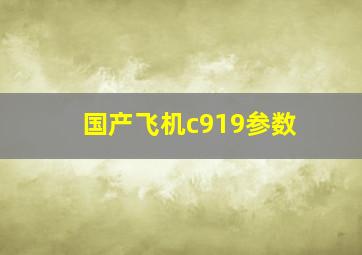 国产飞机c919参数