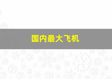 国内最大飞机