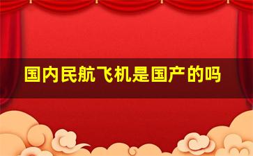 国内民航飞机是国产的吗