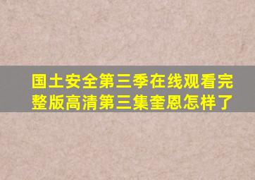 国土安全第三季在线观看完整版高清第三集奎恩怎样了