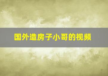 国外造房子小哥的视频