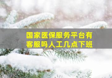 国家医保服务平台有客服吗人工几点下班