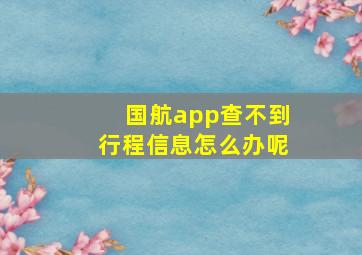 国航app查不到行程信息怎么办呢