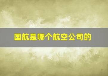 国航是哪个航空公司的