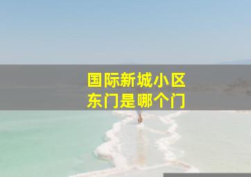 国际新城小区东门是哪个门