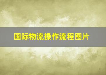 国际物流操作流程图片