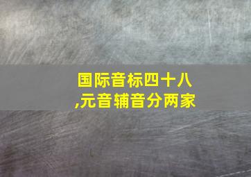 国际音标四十八,元音辅音分两家