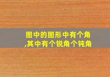 图中的图形中有个角,其中有个锐角个钝角