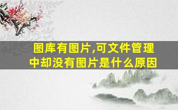 图库有图片,可文件管理中却没有图片是什么原因