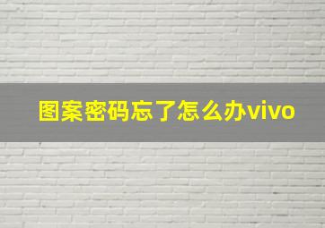 图案密码忘了怎么办vivo